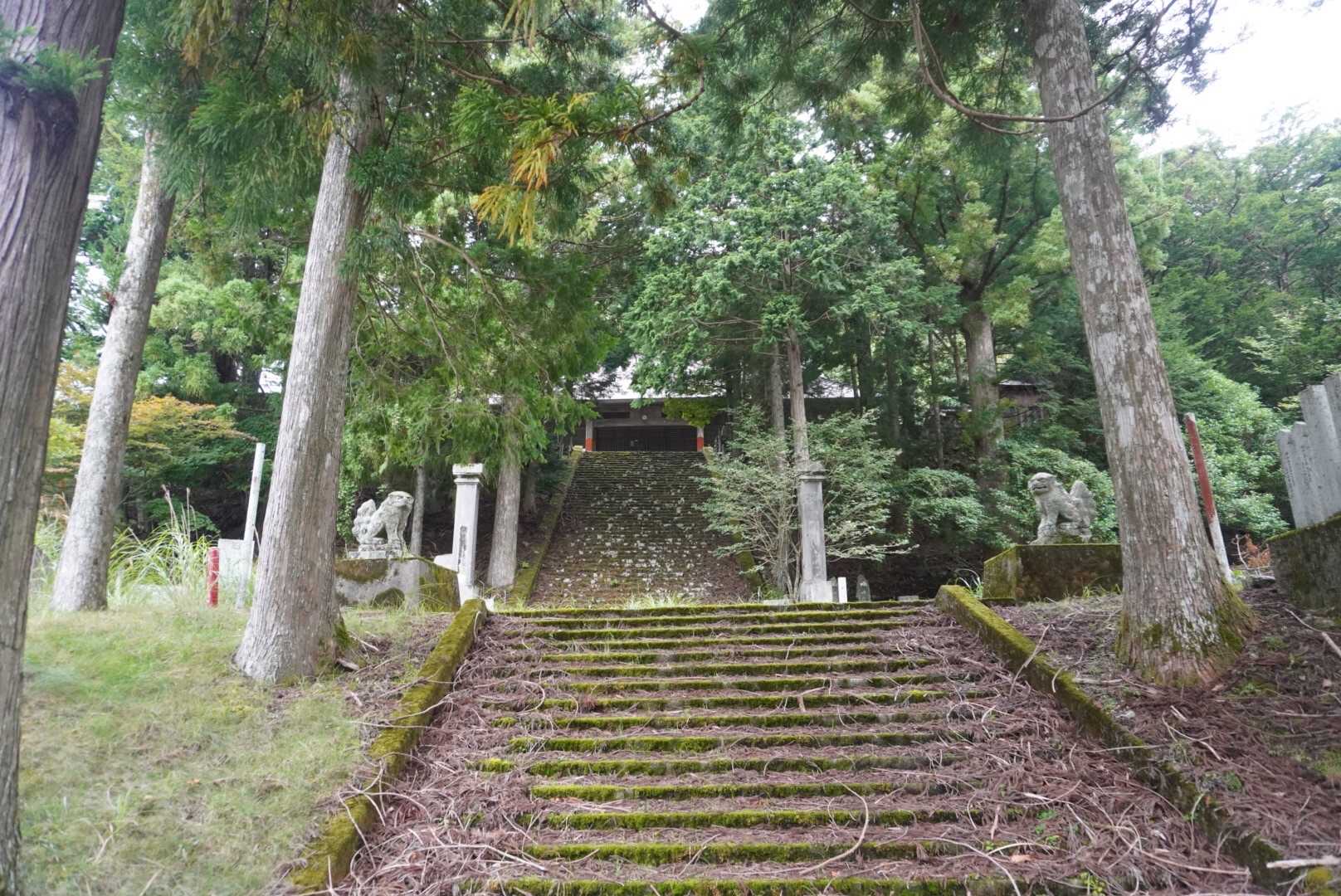 神社まで降りてきた