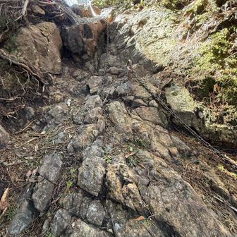 後半に来てまだ激しい
これ登るの😱