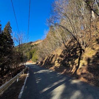 しばらくロード（御荷鉾スーパー林道）を進み、