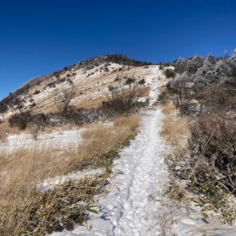 鷲ヶ峰への道。