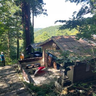 登りには気づかなかったけれど、樹々の中から庄内平野が見渡せる