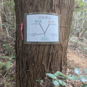 緩やかな方から