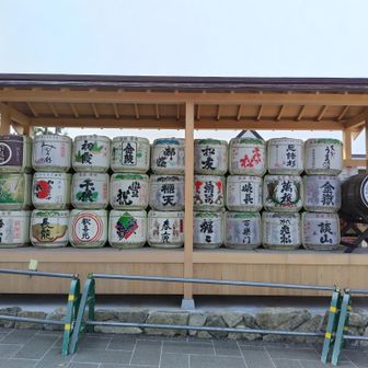 樽酒が並んでいる😊