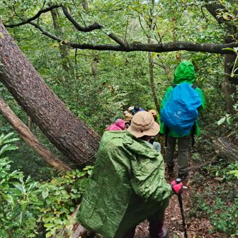 　どこも同じく
山城は急登です。
