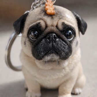 ブループラネット