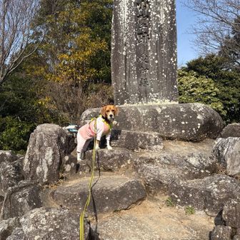 こんな良いポーズ簡単には撮らせてくれません。時間が掛かりました。