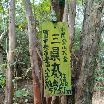 『三県丸』とは??
愛媛、徳島、徳島の県境だから?🤔
正式名称ではない??