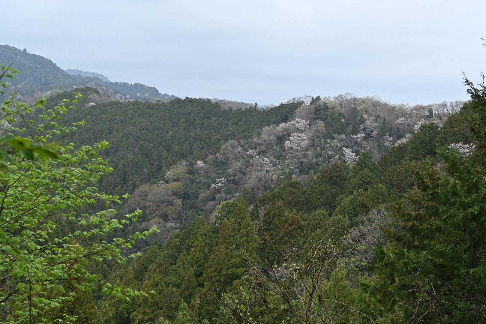 草戸峠