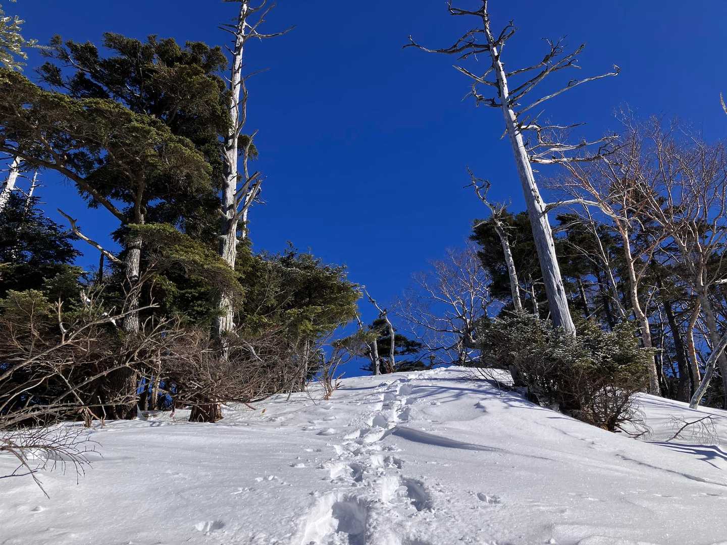 空に向かって。