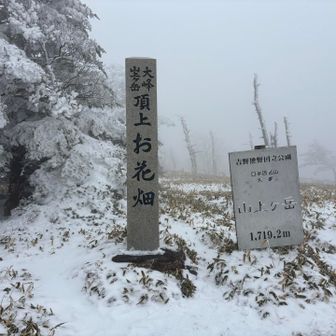 雪はこの程度。まだまだです。