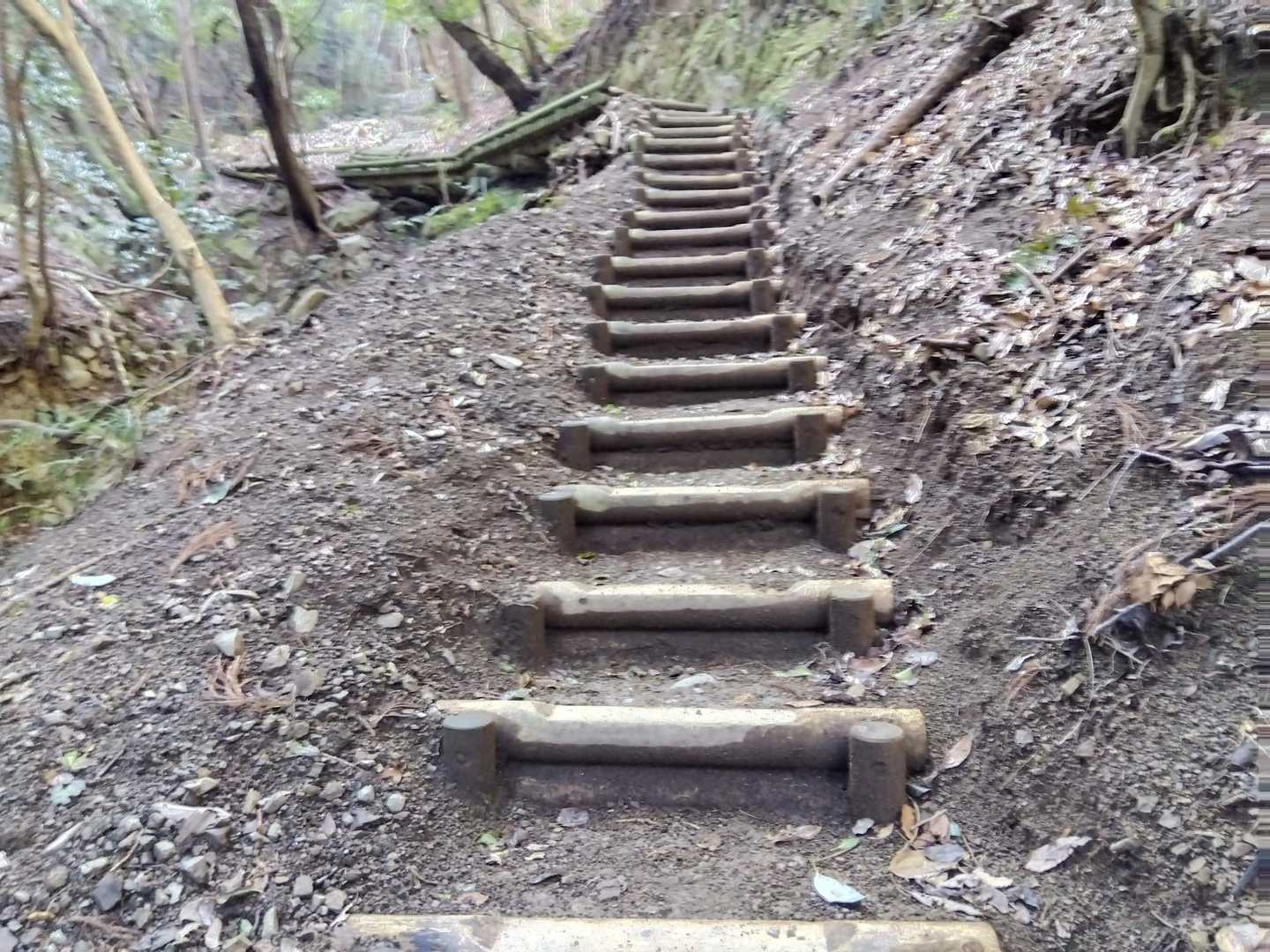 綺麗な階段