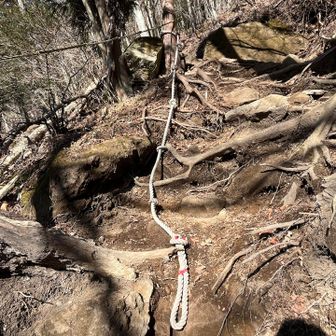 唯一のロープ
使わなくても登れます