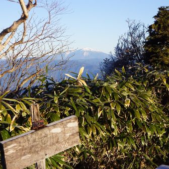 大判山(1696m)