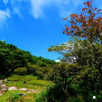 鍋割山・竈山・火起山・薪山ー2026-07-10 / 西のマーくんの登山データ