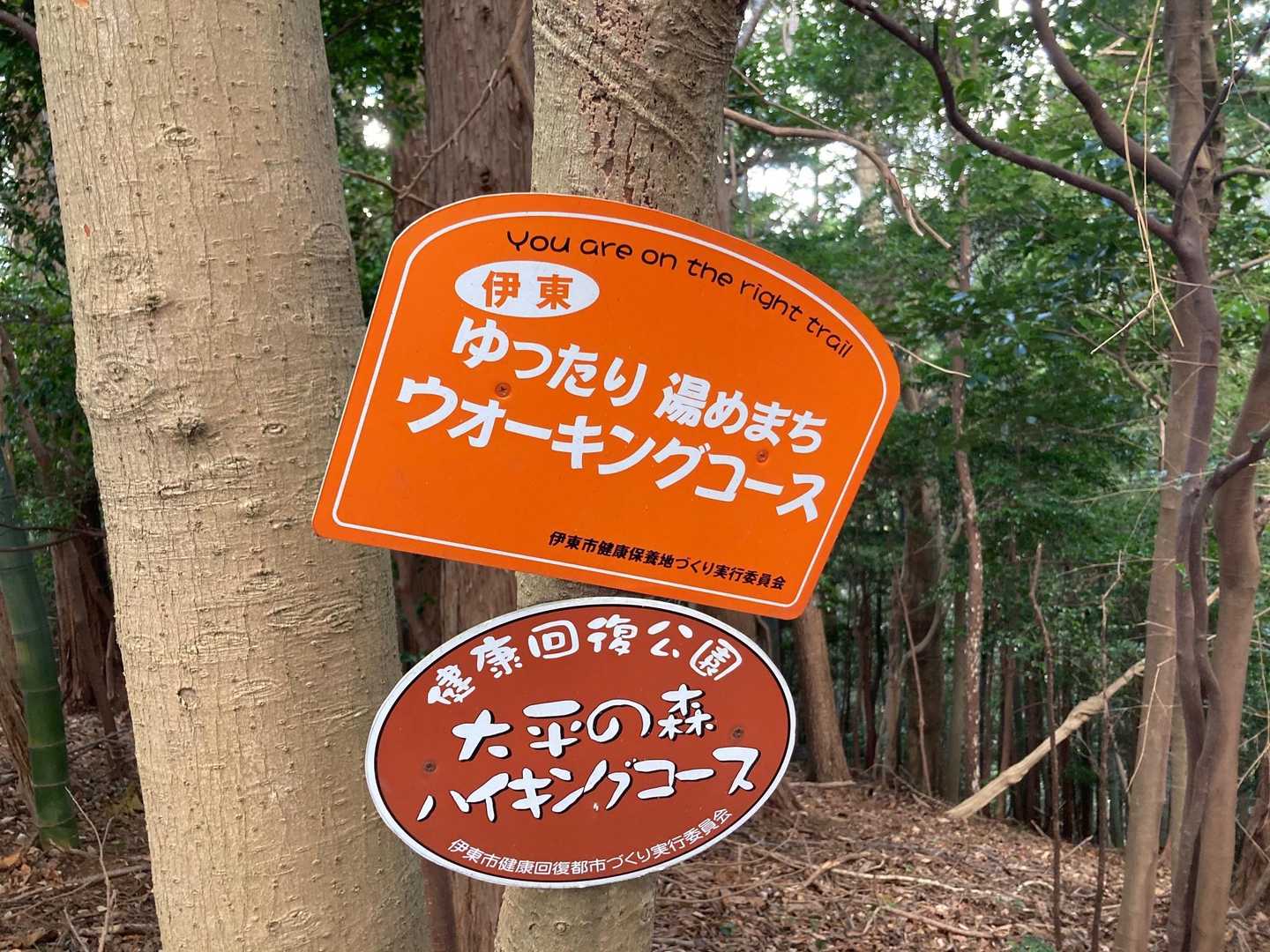 この看板がルート上にあるから、基本迷いません