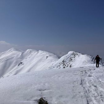 歩いてきたところ