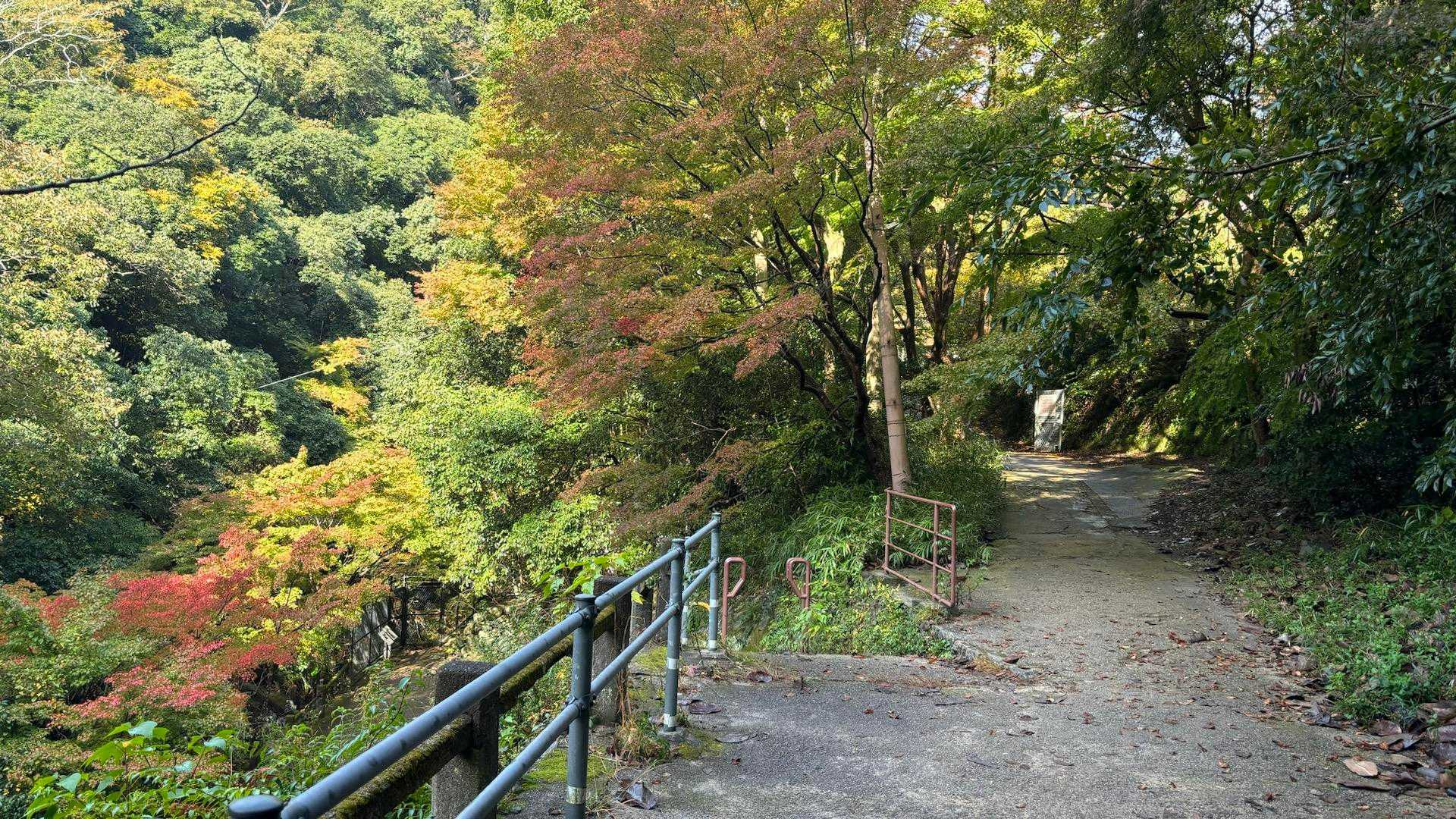 新神戸駅-滝山城跡登山口-杣谷峠-六甲山上バス停-油コブシ 縦走コースの写真