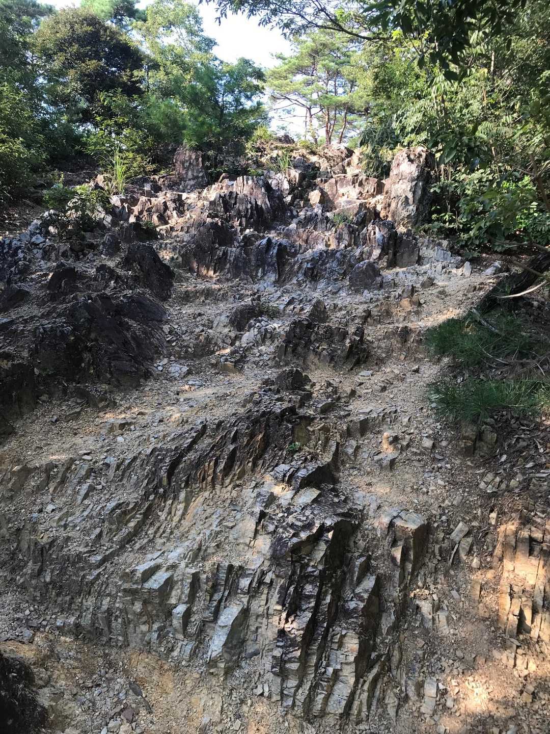 鏡山 往復コースの写真