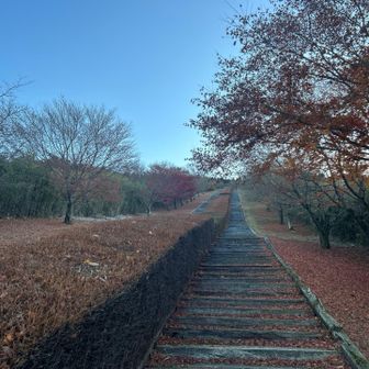 まだまだ紅葉🍁見られる