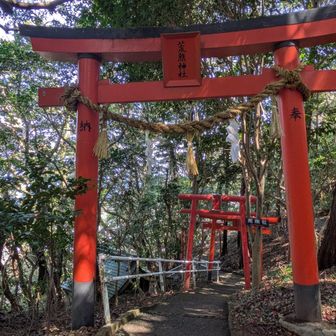荒熊神社への下り