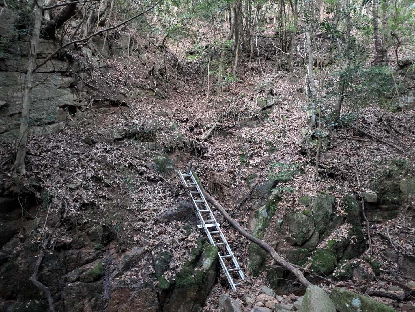 忍者岳-ゾロ峠 周回コースの写真