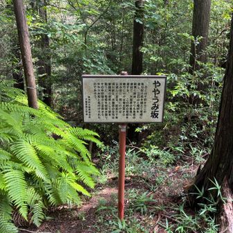 ややうみ坂
