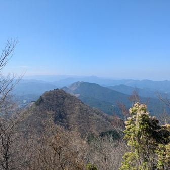 真ん中手前に、
さっきまでいた二本ボソ