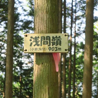 この日の最高到達点の浅間嶺