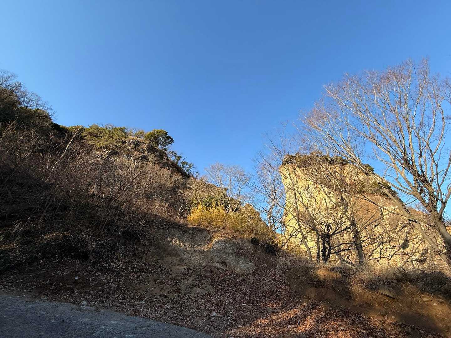 車道を歩いて次を目指します