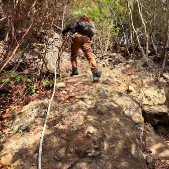 山頂近くにロープが何箇所かあります
やまさんはスイスイ⤴️
