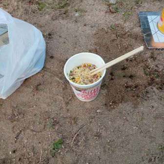 べっぴー(ぷっくん)