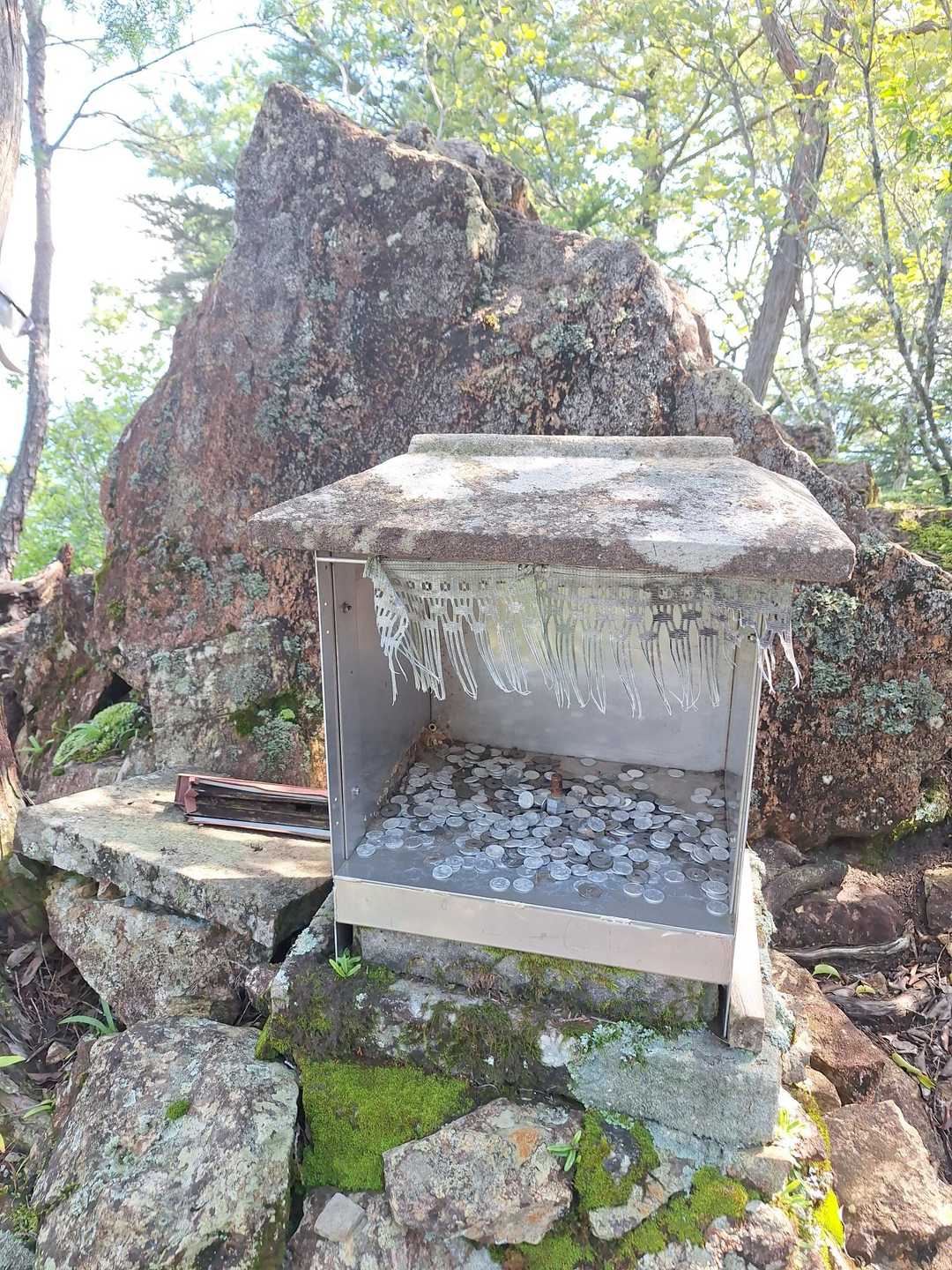 横倉山-横倉宮-杉原神社 周回コースの写真