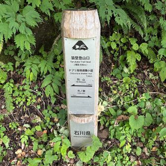 ここから長い1日が始まります。