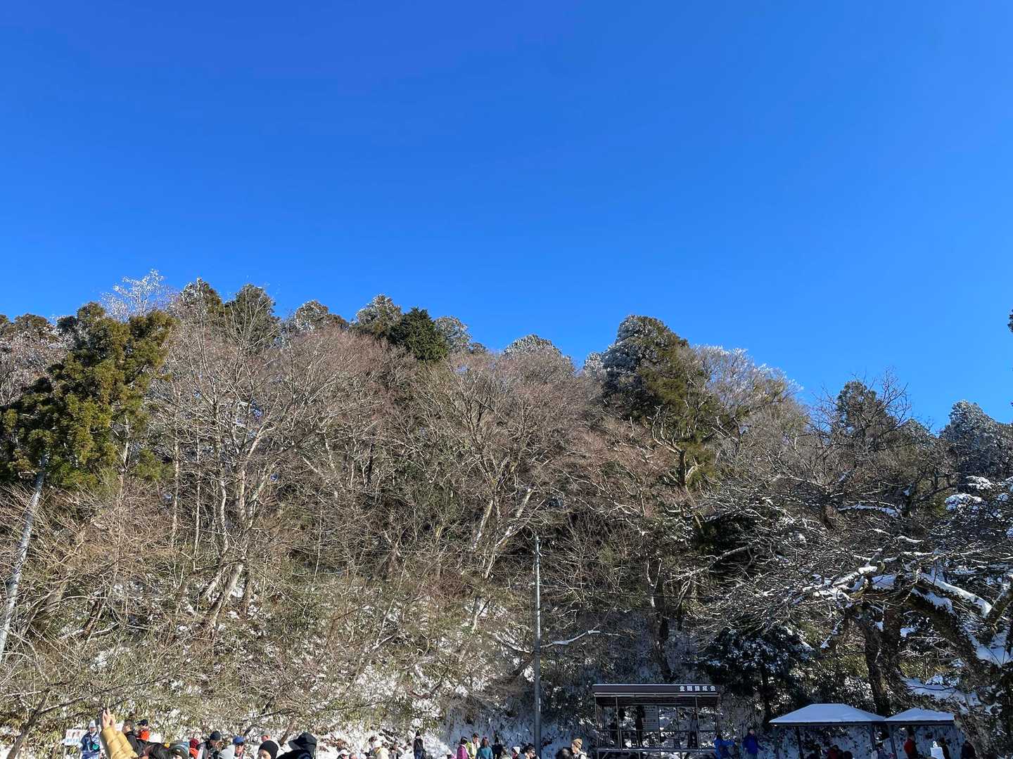 青空なのに、霧氷無し😭