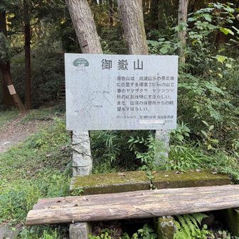山道はこれでおしまいです。あとは駅まで歩きます。