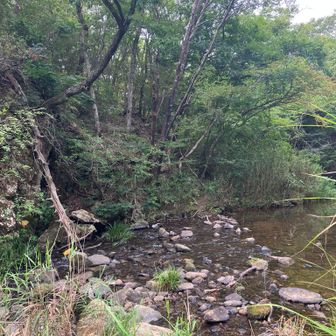 鎌倉峡の楽しい沢歩きが終わり、百丈岩に向かう取り付きの徒渉点。川の流れが浅いところですが、飛び石も少ないので注意が必要です。増水していると難儀するかも・・(^^;
