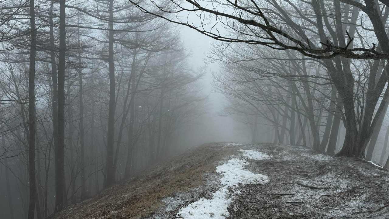 奥多摩、石尾根テン泊縦走（鴨沢〜七ツ石山〜鷹ノ巣山〜六ツ石山〜奥多摩駅） の写真 67