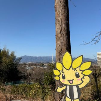 ざまりんと大山