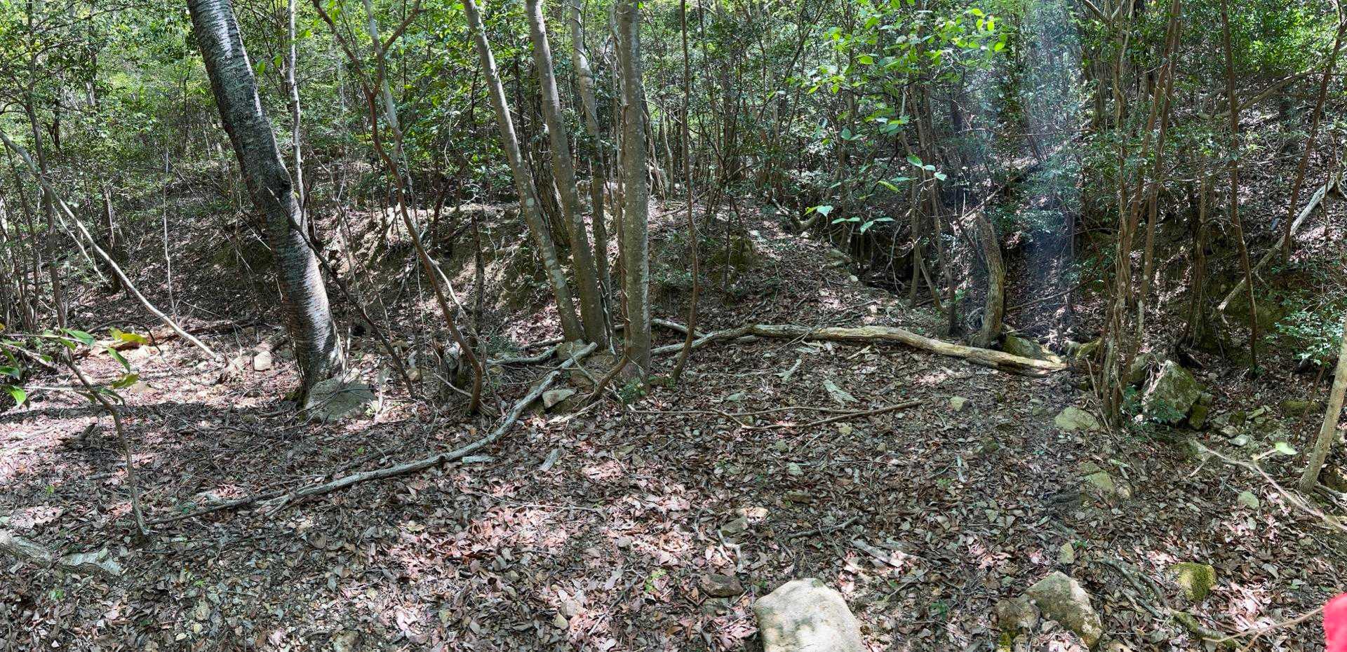 広い平坦地もある。炭焼窯跡がありそうだ。楽しみだ。
三草山毎月登山はいつしか炭焼窯跡探索ツアーになってきた🤣
