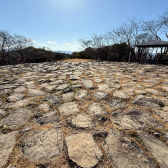 ほら、もう、おたまも見失うレベルでわからん
