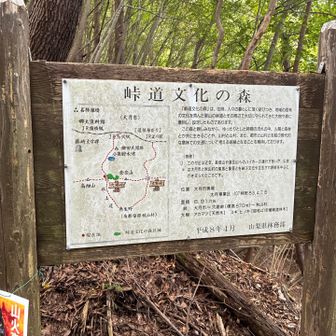 休憩がてら熟読！