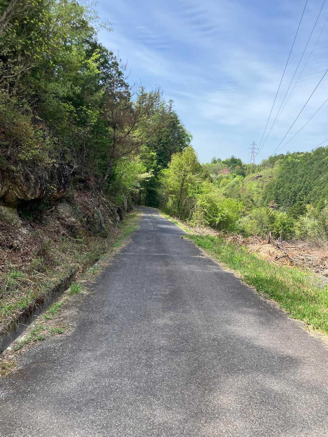 🚙の通りも無く、木陰になっていて涼しい道のりです😊
