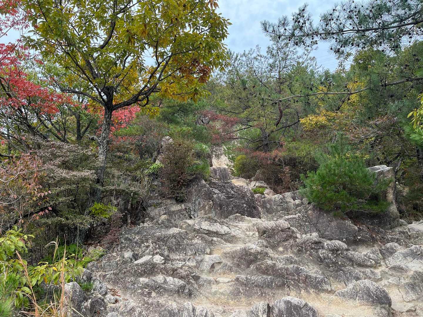 登るでー🧗‍♀️
