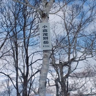 小喜茂別岳頂上