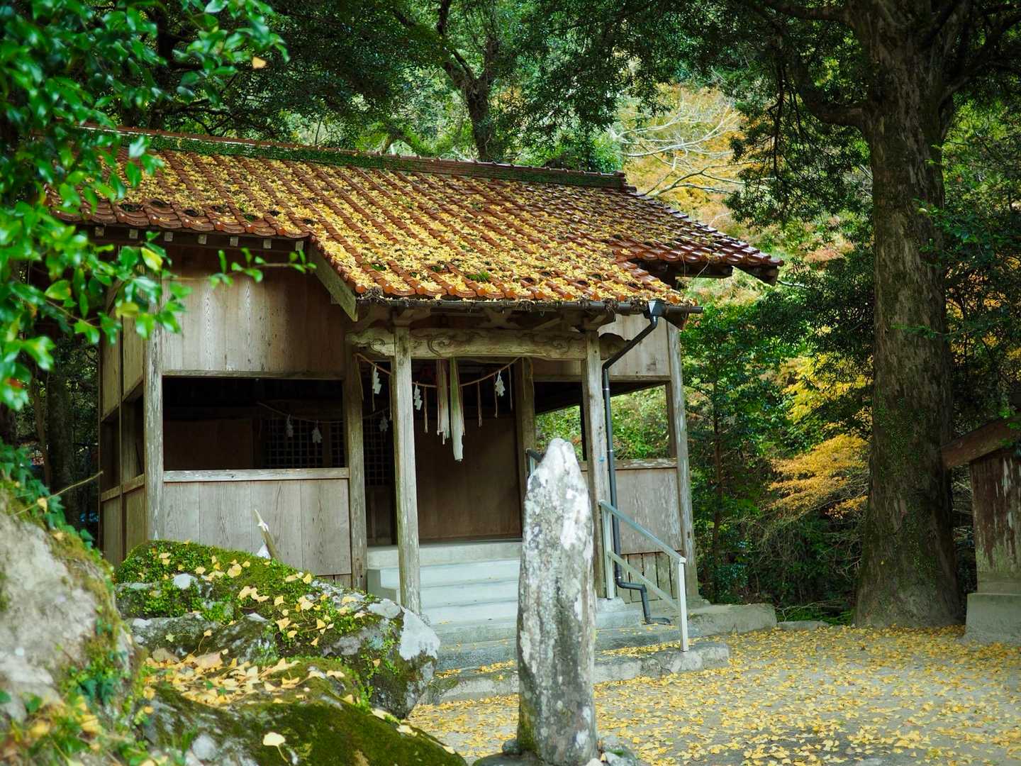 【野河内渓谷】福岡が誇る渓谷で豊かな自然美を満喫｜福岡・早良の写真