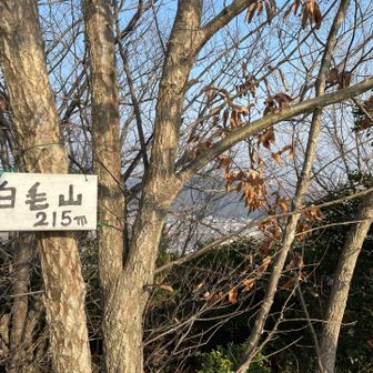 この辺りでトレーニング中のトレランさんに出会いました🏃🏻
凄い体力😳