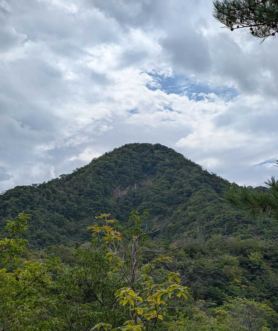 舟見平からの鞍掛山
☁多いな😂