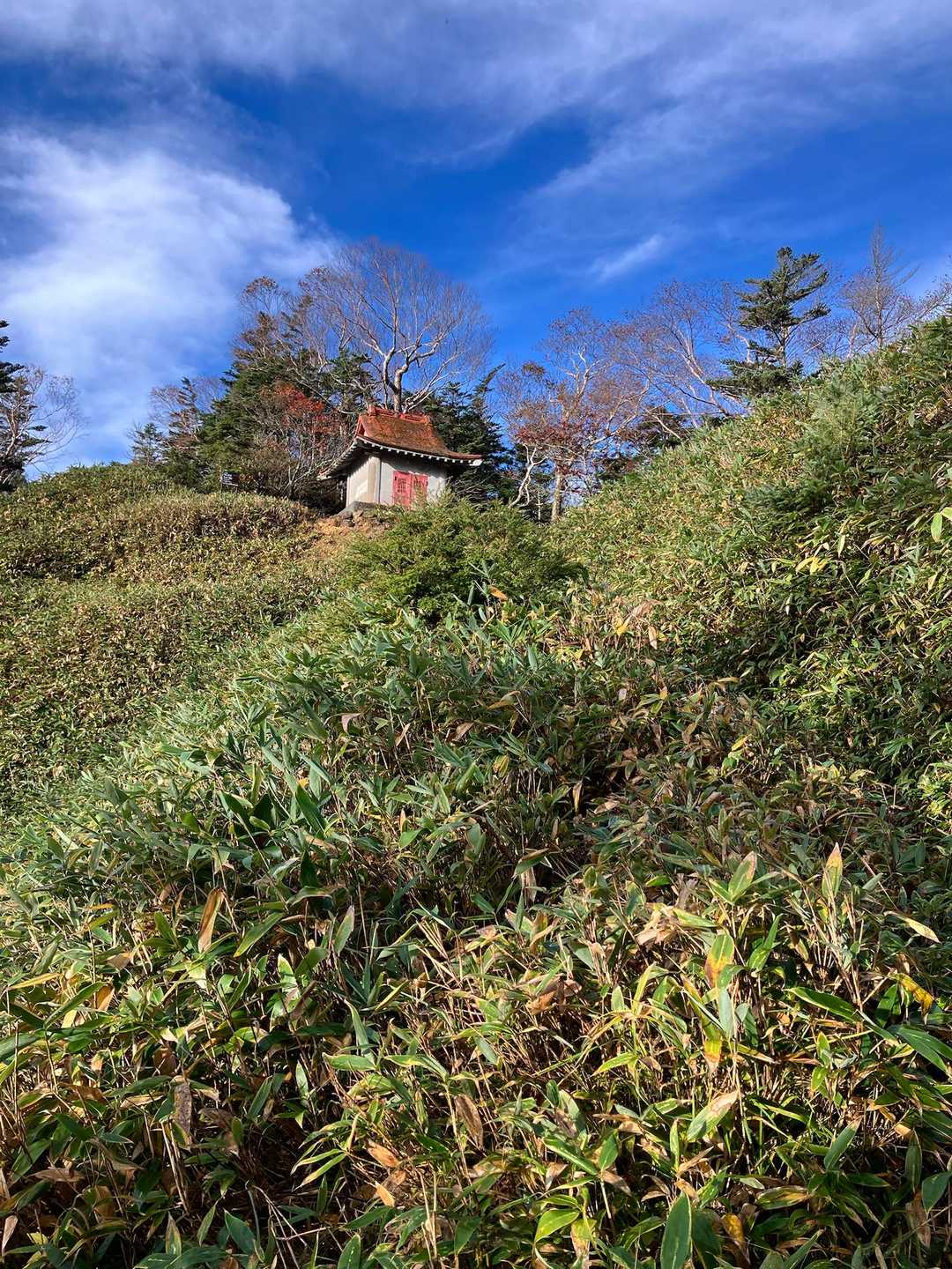 急登を登り切ると金精山と温泉ケ岳の分岐点