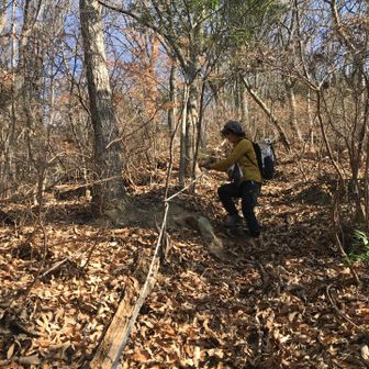 そして、
ここは、かなりの激下り。