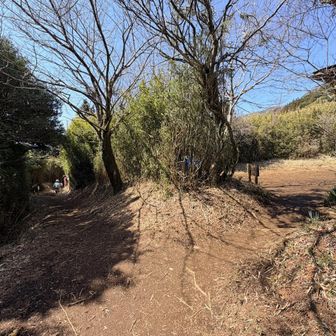 矢倉沢峠。
ここ！気づかず直進すると、仙石原への下山路になってしまいます。
必ず右へ。